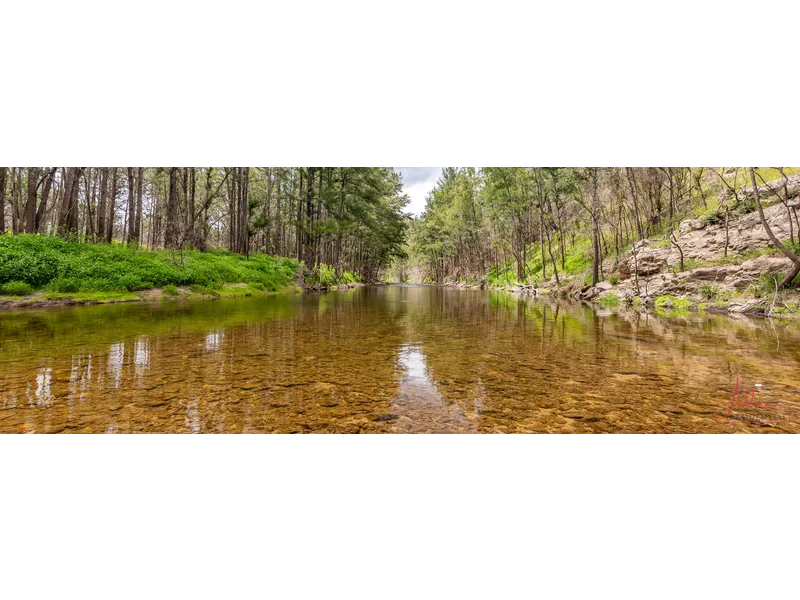 Glorious River Frontage - welcome to paradise.