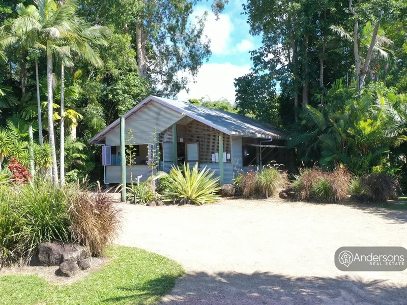 NOW IS THE TIME TO LIVE YOUR DREAM