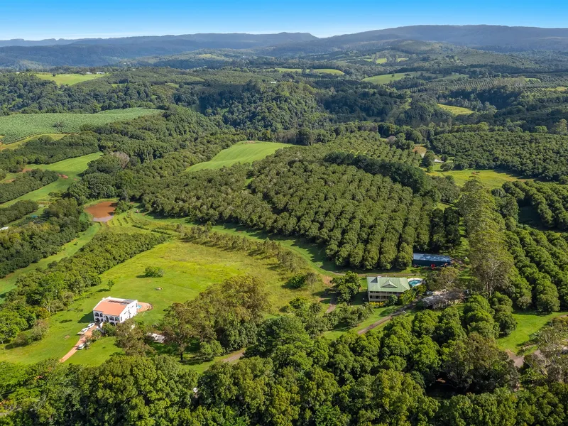 Substantial Home, Hinterland Lifestyle and Income Producing Macadamia Farm