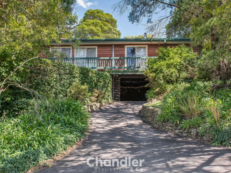 FANTASTIC FAMILY VALUE!