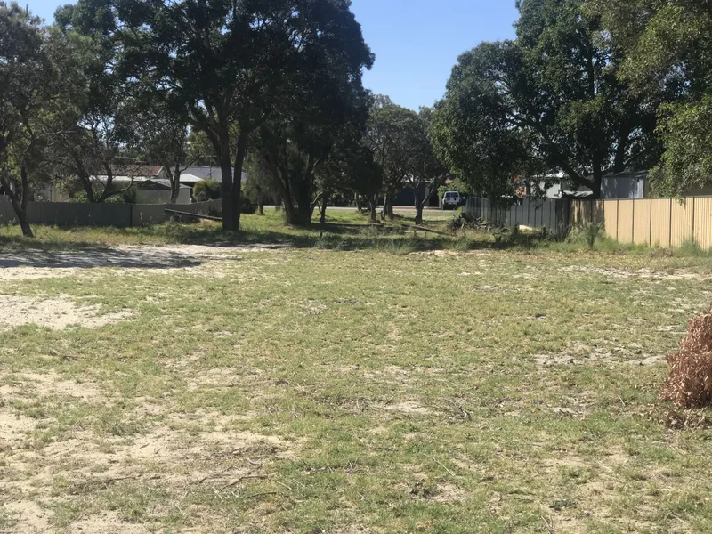 BUILD BIG OR SUBDIVIDE