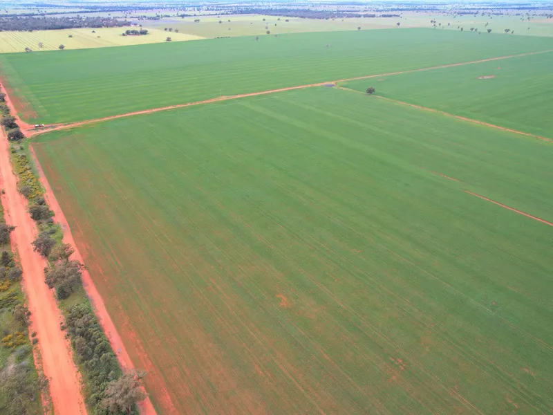 Efficient Red Loam Kurrajong Country
