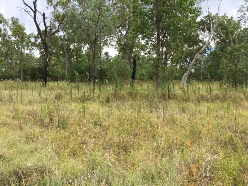 23 Tranquil Acres Minutes to Nanango