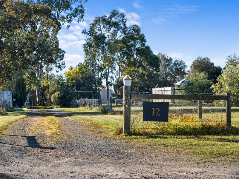 Your Family's Paradise Found: 3 Bedrooms & Pool on 1 Hectare of Land