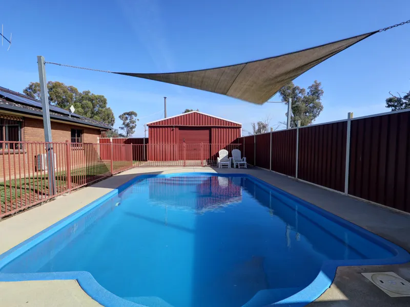 Great shedding and pool