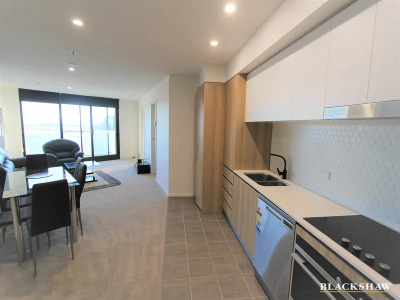Furnished Modern 1 bedroom at Infinity Towers