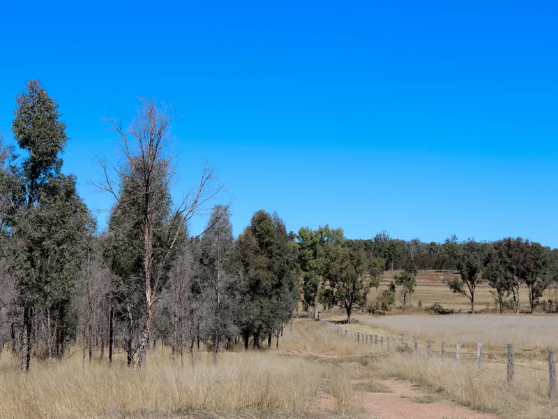 Dual Income - Hardwood Plantation & Grazing