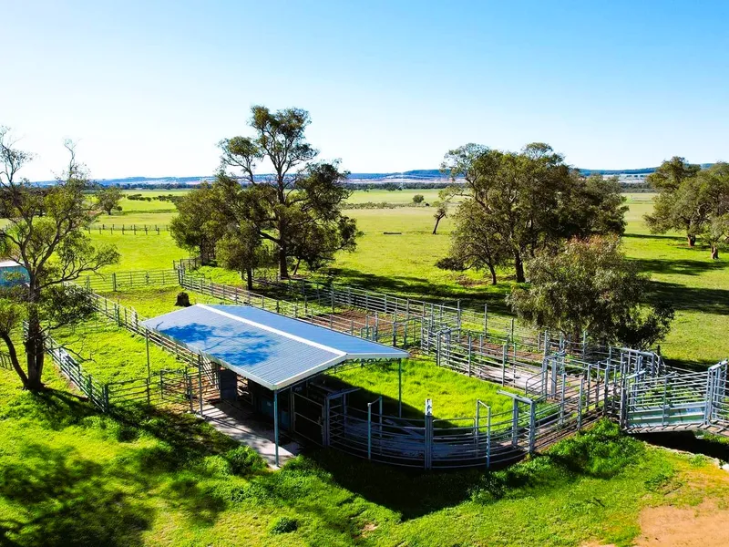 Outstanding Cattle Farm, Suited to Backgrounding, Stud, Grazing & Mixed Cropping