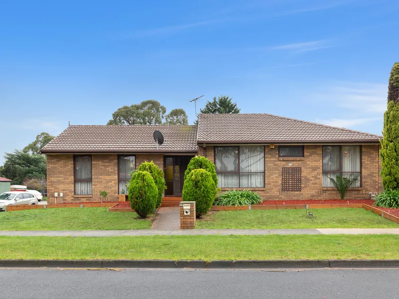 Big in Size and Opportunity