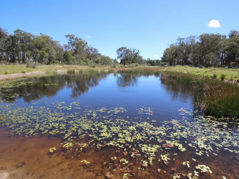 PERFECT WEEKENDER OR DREAM HOME LOCATION