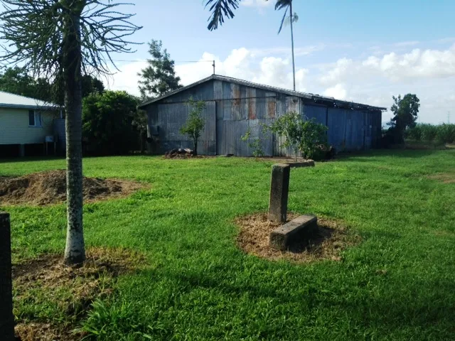 OUT OF KNOWN FLOOD perfect building block