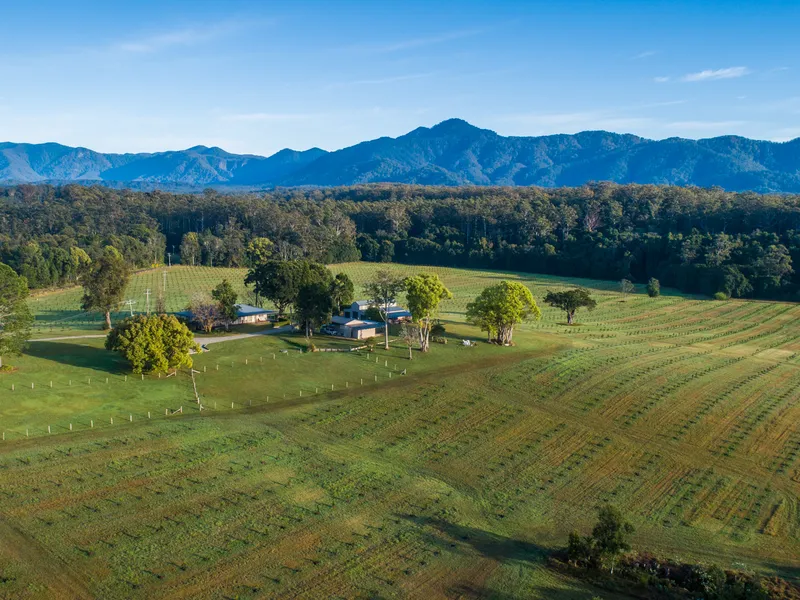 Quintessential Rural Lifestyle and Organic Macadamia Plantation