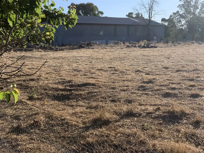 Under Offer. Plenty Of Space Here In Henty!