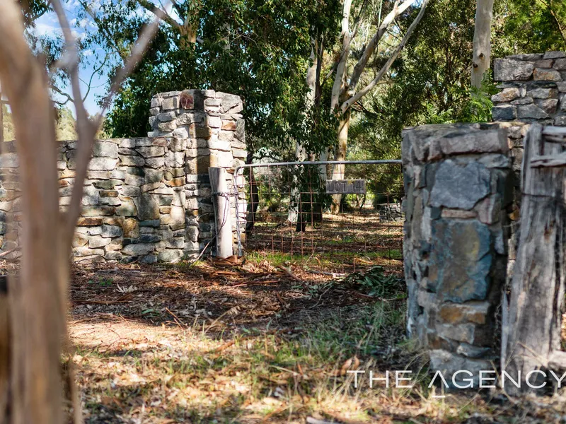 DREAMS BEGIN HERE...