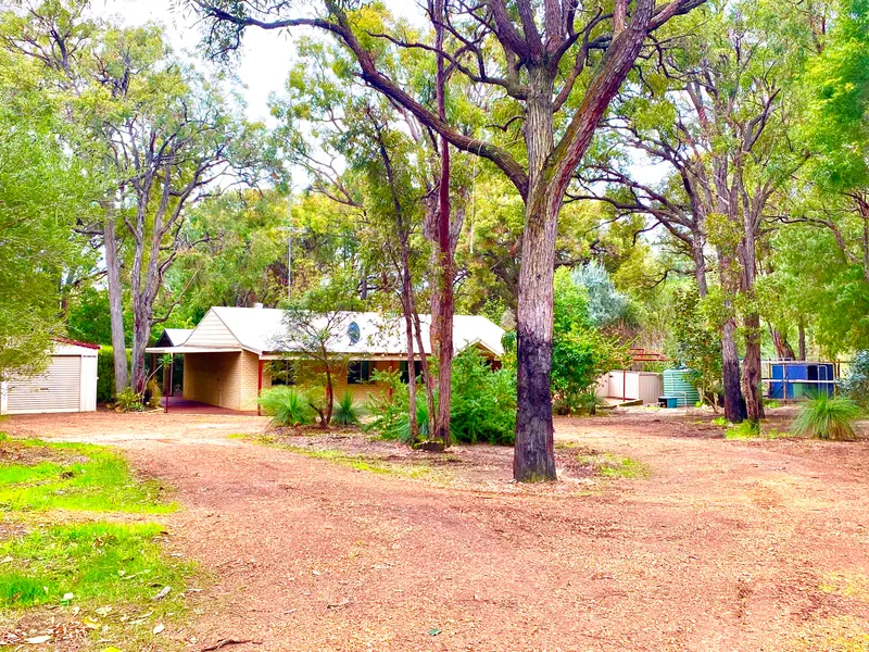 TREES AND TRANQUILITY