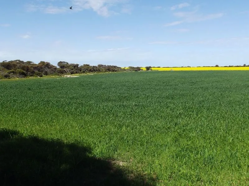 Enjoy the fresh air & space