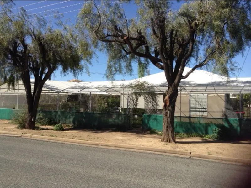 A great starter or investment