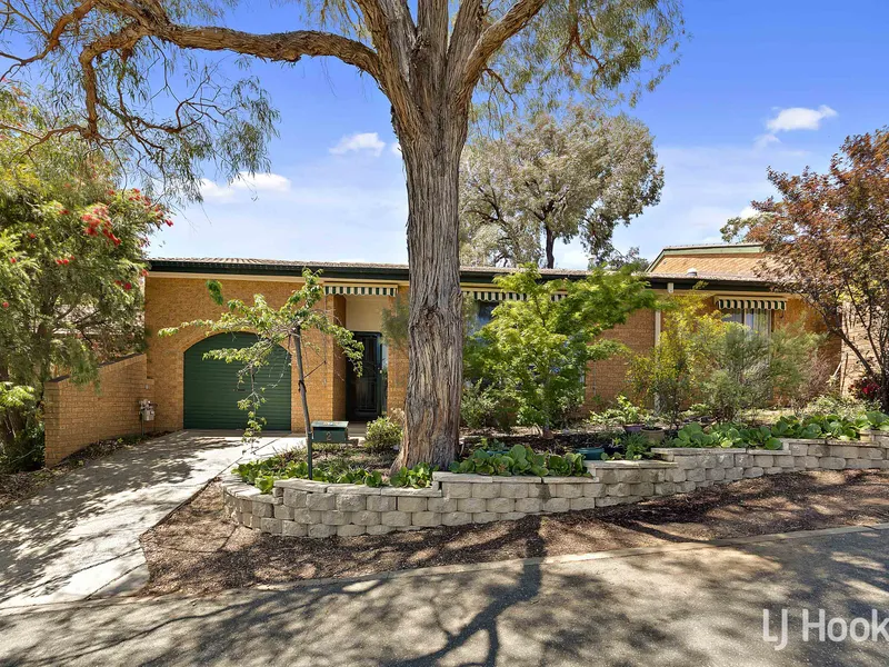 A Must Look in Cook!