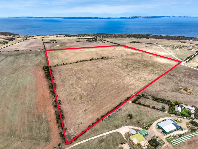 Opportunity Knocks !