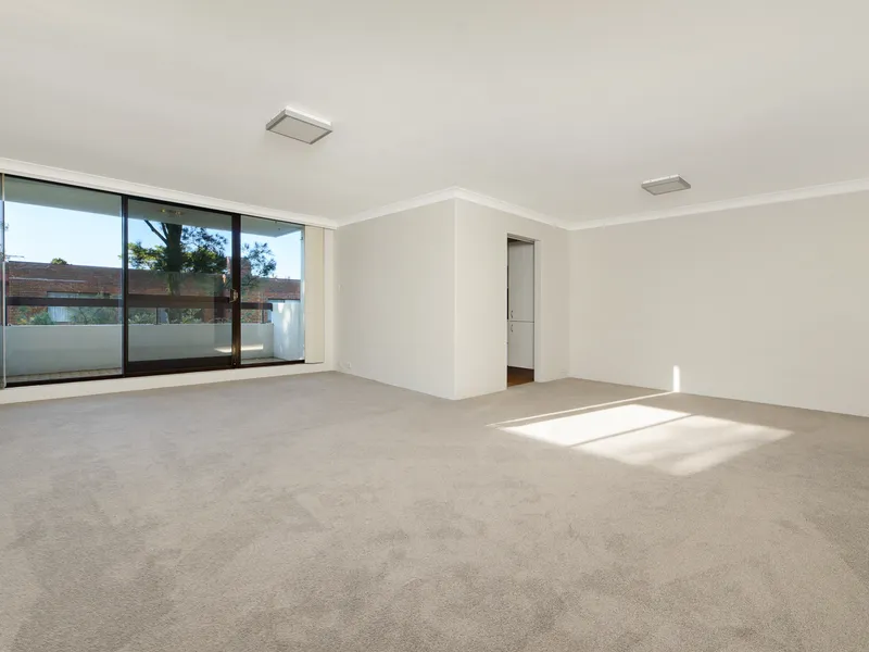 FRESHLY PAINTED AND BRAND NEW CARPET