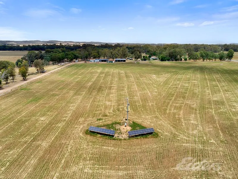 Rutherglen district 'ABERDEEN' A HIGHLY PRODUCTIVE LIFESTYLE OPPORTUNITY  - 95.88 Acres