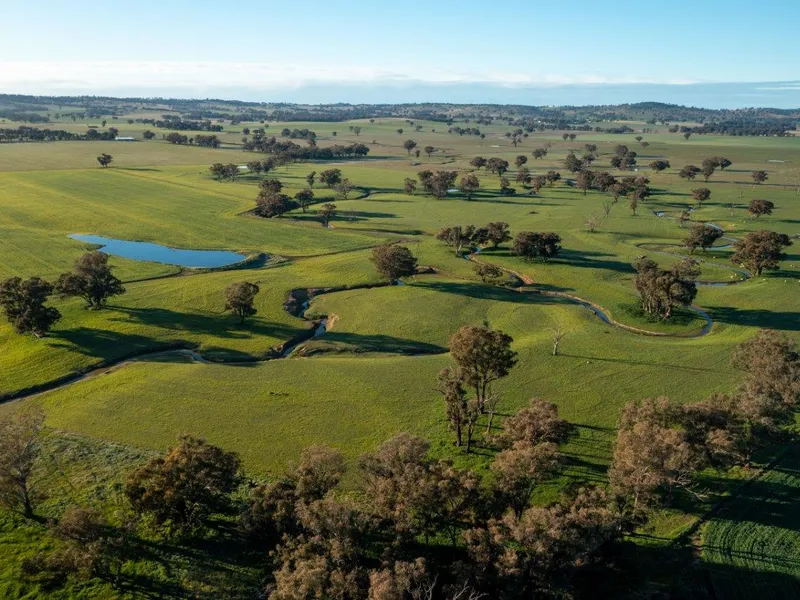 One Of Cootamundra's Finest Properties