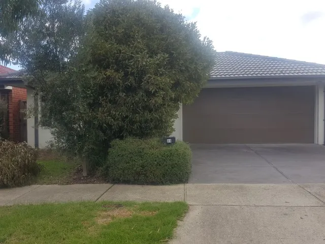 SPACIOUS LIGHT FILLED FAMILY HOME!