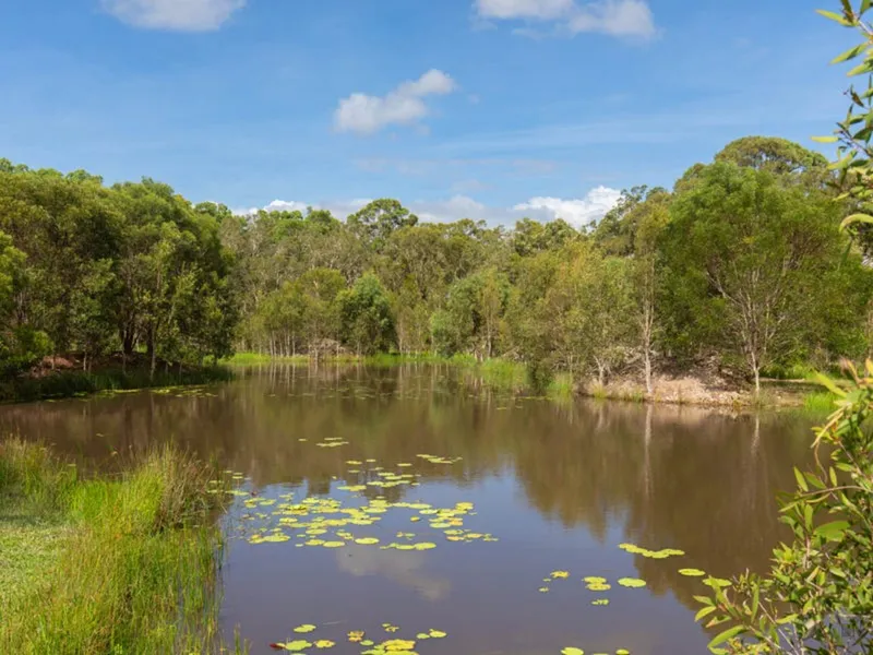 AMAZING LIFESTYLE OPPORTUNITY - Land Bank - Build your dream home - Don't miss this one!
