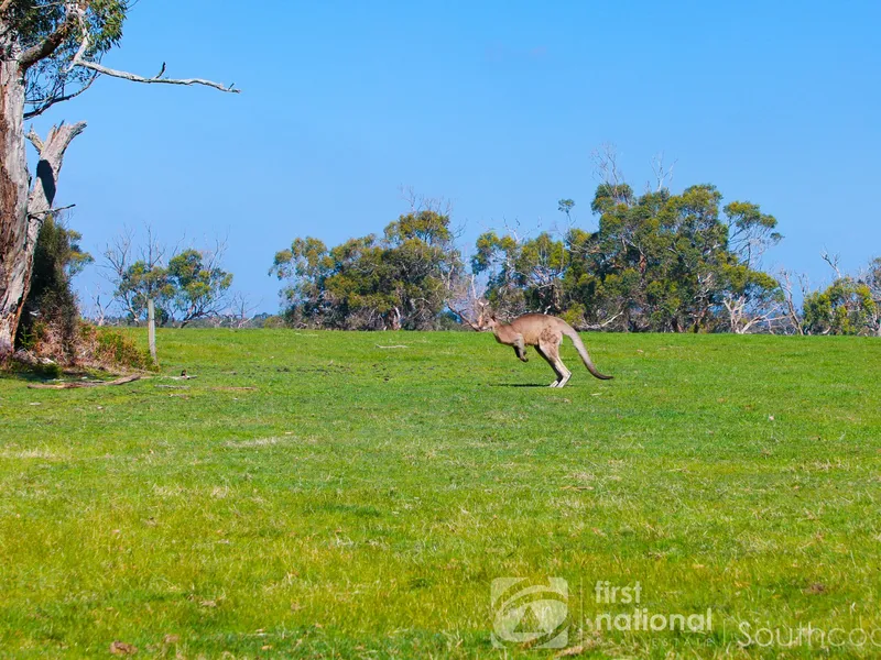 Wattle Ridge Estate