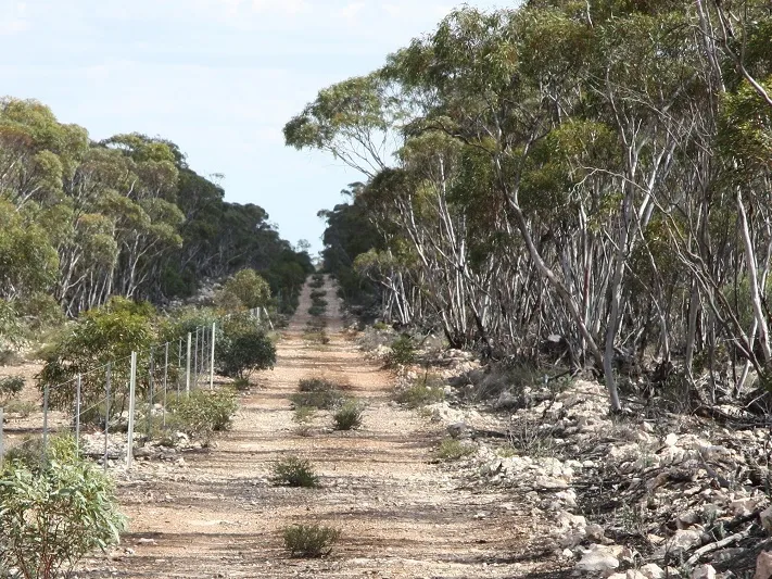 Pristine Bushland within a Gated Community.