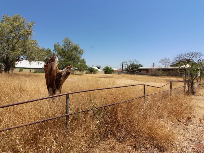 See More On Seymour Too!