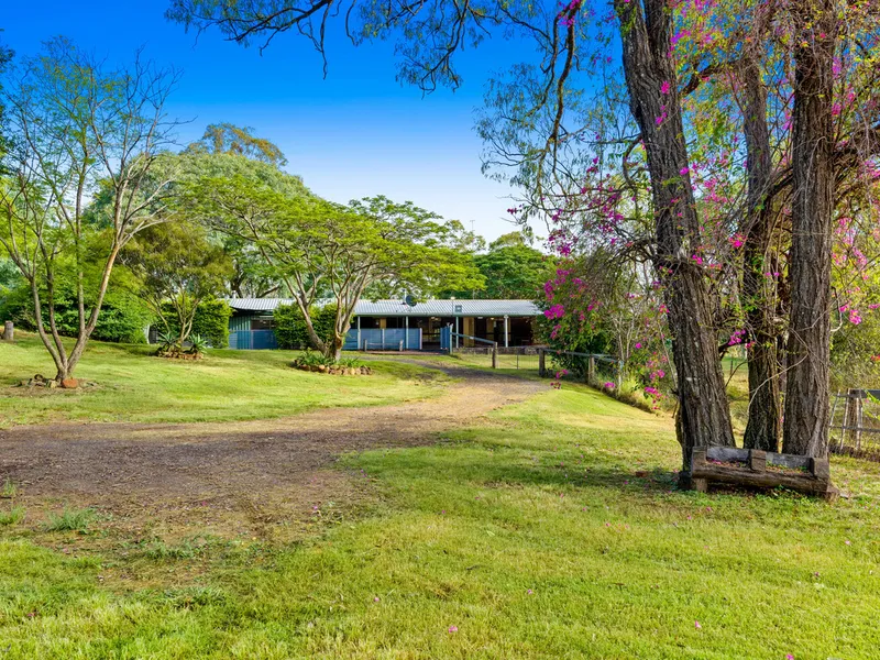 Hidden Paradise | 58.7 Acres