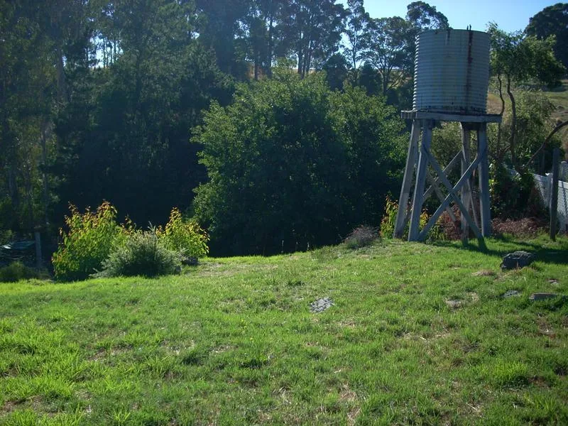 PERCHED ON TOP OF THE WORLD!