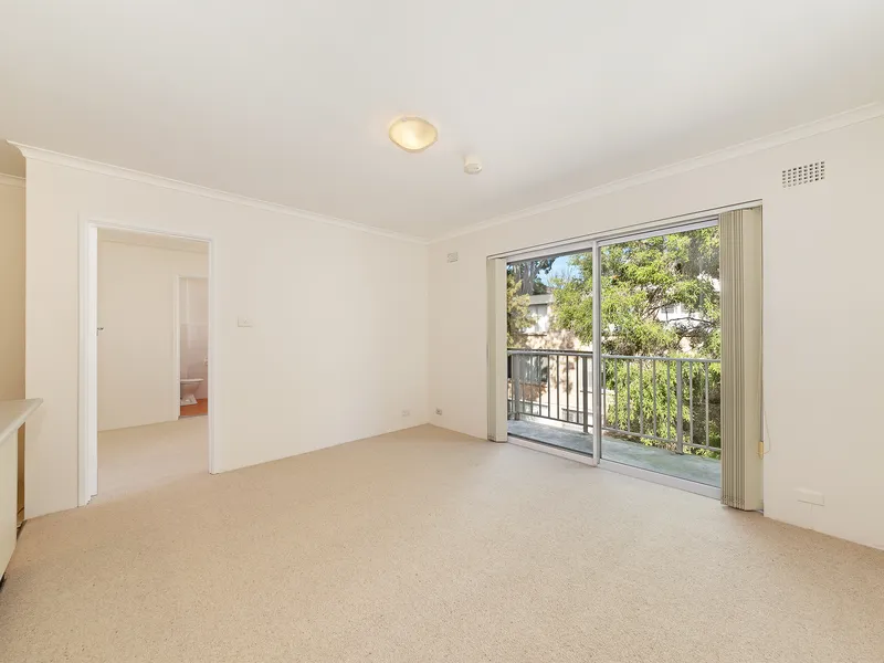 SPACIOUS ONE BEDROOM - FRESHLY PAINTED & NEW CARPET