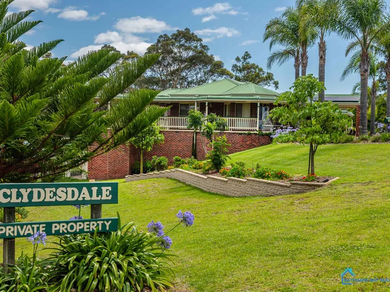 Clydesdale- The One and Only