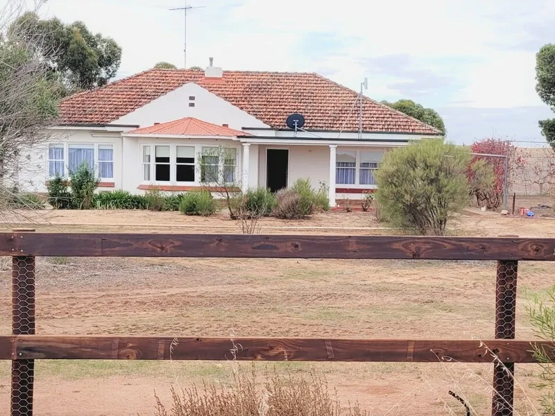 5 Bedrooms, 2 stables and yards, approx 3 acres
