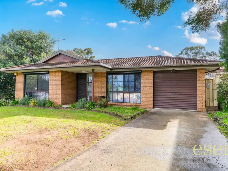 Buy + Invest in one location!