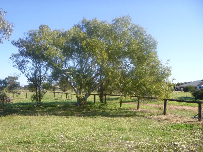 Build your New Home with Stunning Views