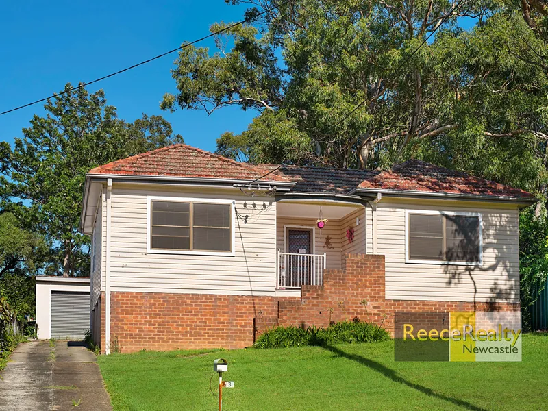 Entry Level Opportunity