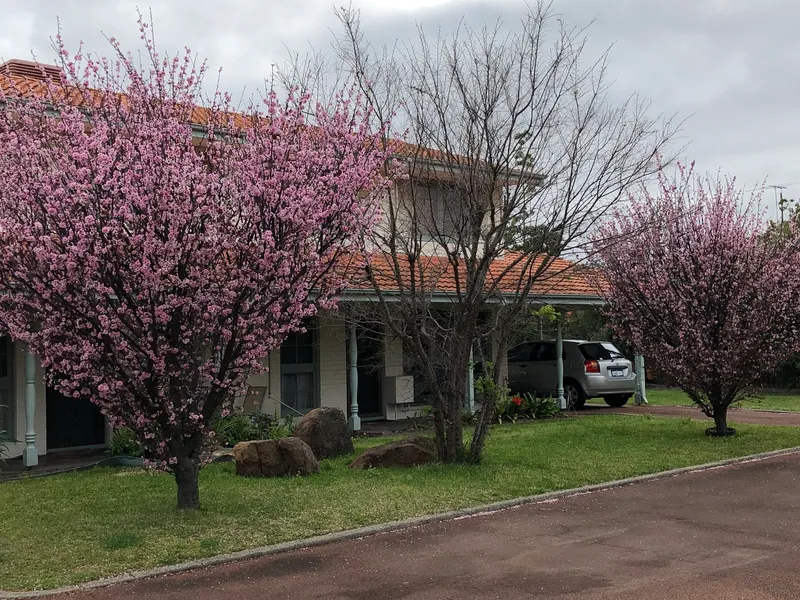 Location! Location! Location!