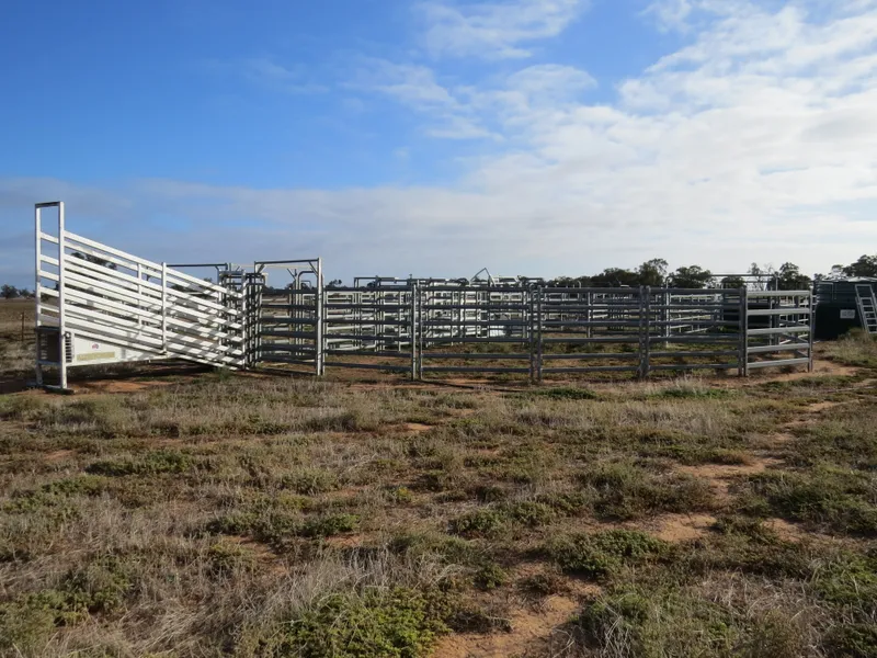 A Long Held & Versatile Irrigation Holding