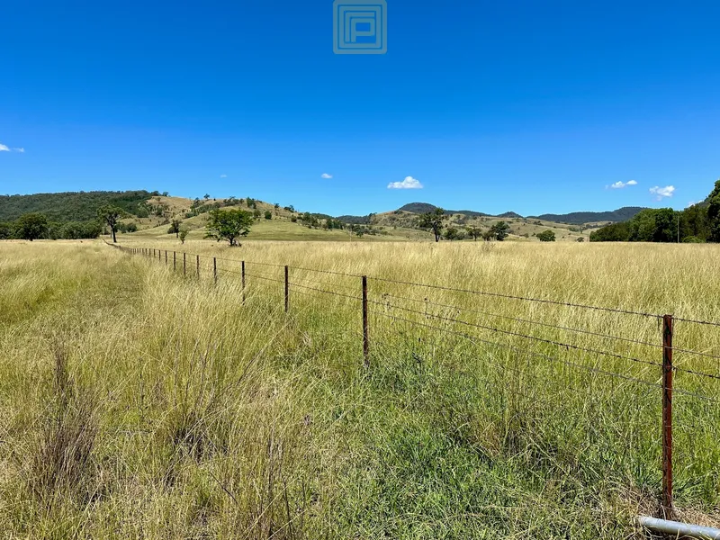High Rainfall Grazing in a Unique Location