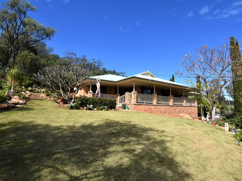 THE HOME ON THE HILL