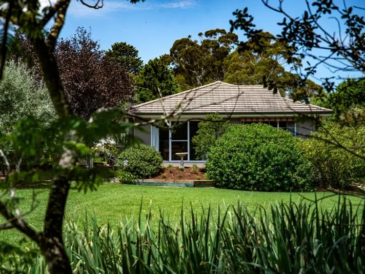 Ducks Landing - a green outlook for days