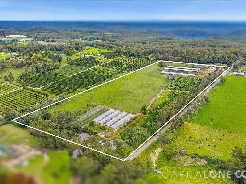 POTENTIAL PLUS OPEN TO OFFERS!