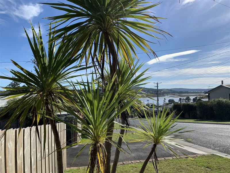Renovated Family Home with Big Views