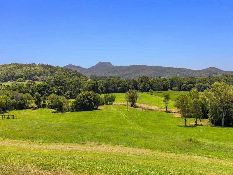 Views and Versatility