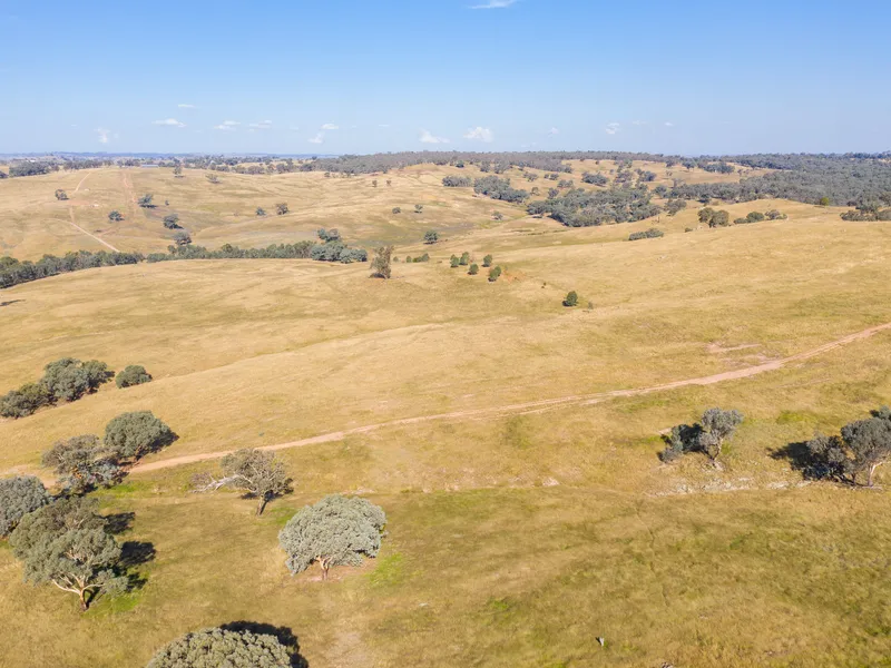 Expansive Agricultural Land – Boorowa NSW