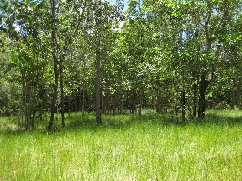 Private timbered hideaway acreage with sheds and equipment