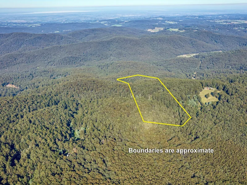 Over 100 Acres of Gorgeous Bush to Enjoy!